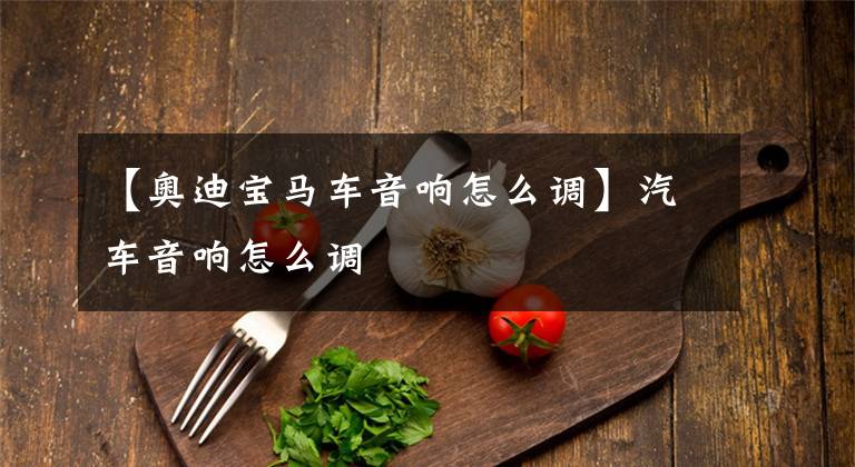 【奥迪宝马车音响怎么调】汽车音响怎么调