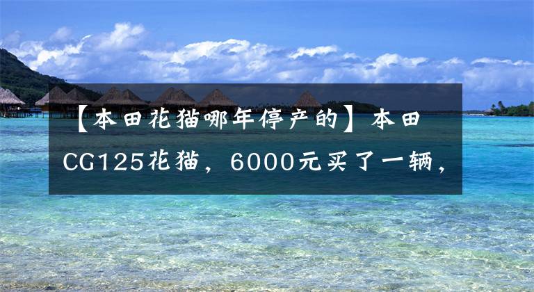 【本田花猫哪年停产的】本田CG125花猫，6000元买了一辆，外观不变，灵魂不再存在。