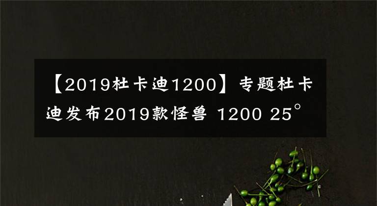【2019杜卡迪1200】专题杜卡迪发布2019款怪兽 1200 25°新车，奢华配置，全球限量500台