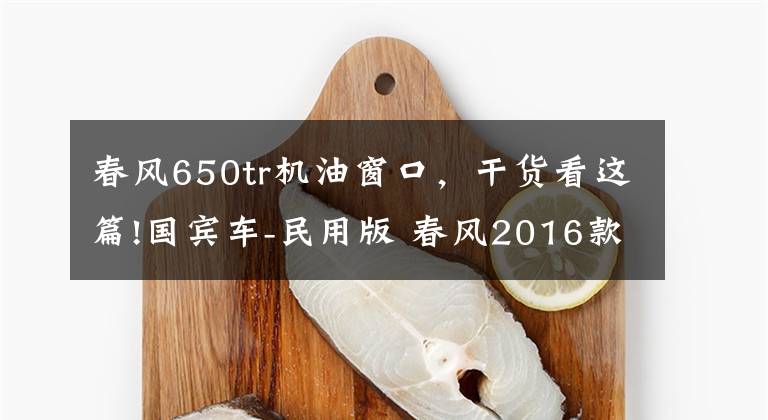 春风650tr机油窗口，干货看这篇!国宾车-民用版 春风2016款650TR-G试驾