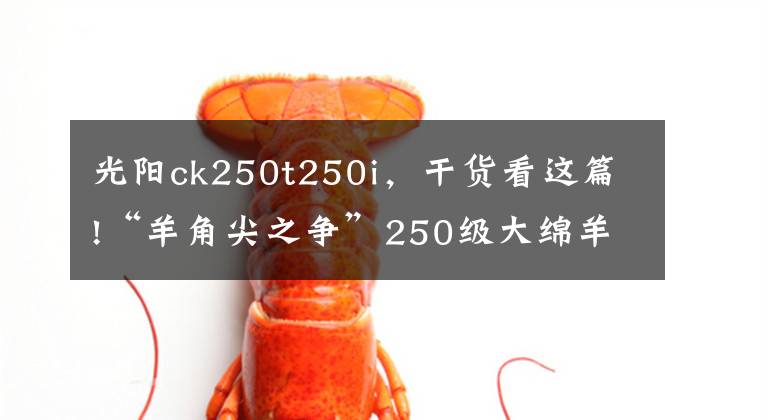 光阳ck250t250i，干货看这篇!“羊角尖之争”250级大绵羊运动踏板摩托车盘点