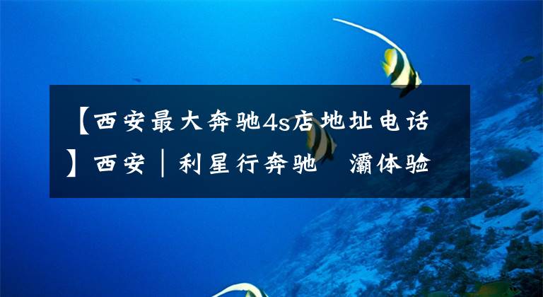 【西安最大奔驰4s店地址电话】西安｜利星行奔驰浐灞体验中心盛大开业