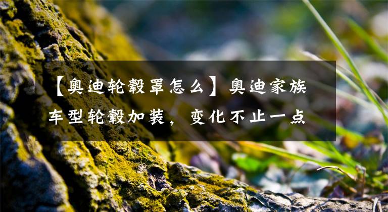 【奥迪轮毂罩怎么】奥迪家族车型轮毂加装，变化不止一点点了吧？