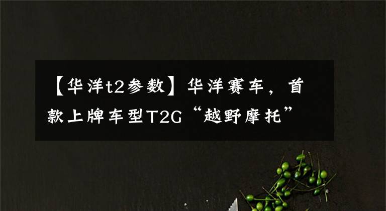 【华洋t2参数】华洋赛车，首款上牌车型T2G“越野摩托” 现身上海摩展