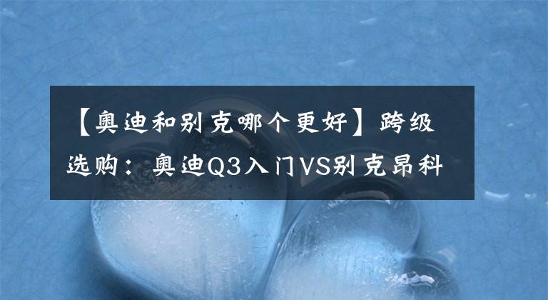 【奥迪和别克哪个更好】跨级选购：奥迪Q3入门VS别克昂科威S