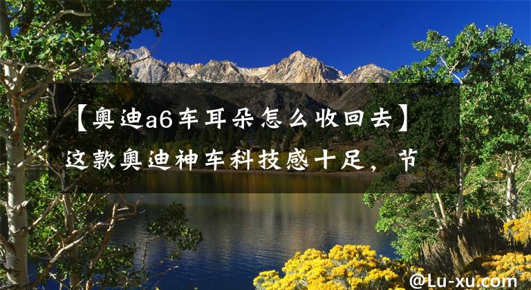 【奥迪a6车耳朵怎么收回去】这款奥迪神车科技感十足，节能环保，耳朵还可以自主伸缩！