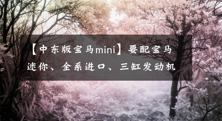 【中东版宝马mini】要配宝马迷你、全系进口、三缸发动机卖19万，富家女的心态很好。
