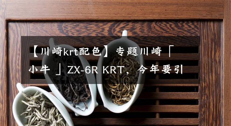 【川崎krt配色】专题川崎「 小牛 」ZX-6R KRT，今年要引进？