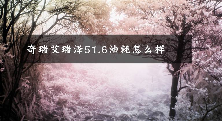 奇瑞艾瑞泽51.6油耗怎么样