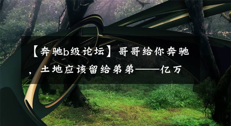 【奔驰b级论坛】哥哥给你奔驰，土地应该留给弟弟——亿万富翁哥哥说