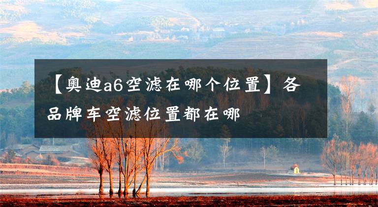 【奥迪a6空滤在哪个位置】各品牌车空滤位置都在哪