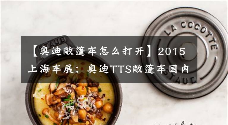 【奥迪敞篷车怎么打开】2015上海车展：奥迪TTS敞篷车国内首发
