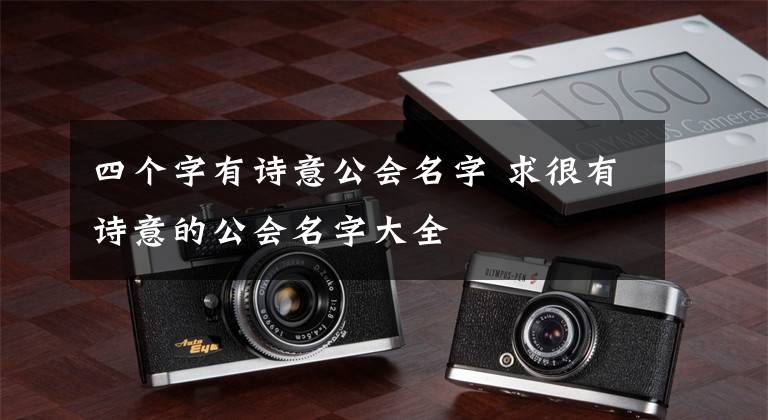 四个字有诗意公会名字 求很有诗意的公会名字大全
