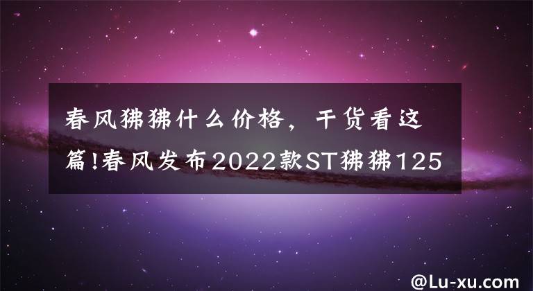 春风狒狒什么价格，干货看这篇!春风发布2022款ST狒狒125，新增深空灰色，售价8980元
