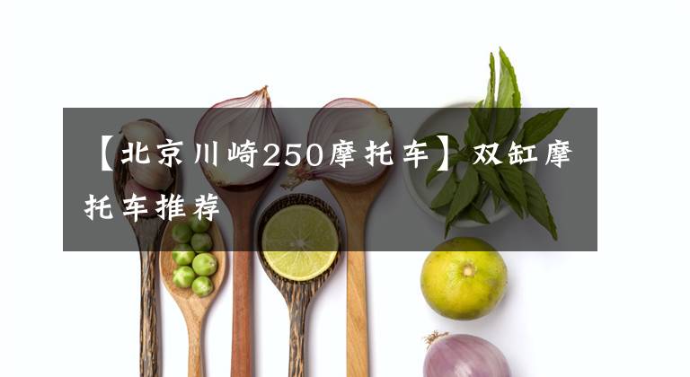 【北京川崎250摩托车】双缸摩托车推荐