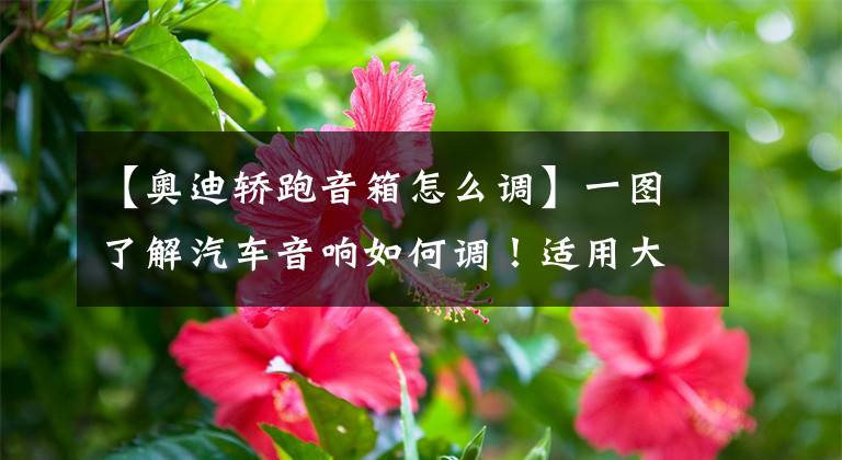 【奥迪轿跑音箱怎么调】一图了解汽车音响如何调！适用大部分汽车
