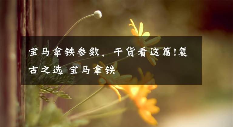 宝马拿铁参数，干货看这篇!复古之选 宝马拿铁