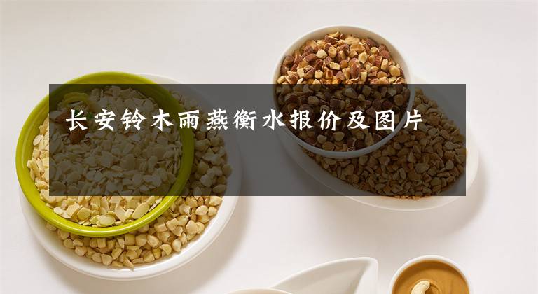 长安铃木雨燕衡水报价及图片
