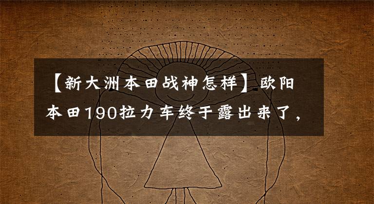 【新大洲本田战神怎样】欧阳本田190拉力车终于露出来了，和新版190X的样子大不相同。