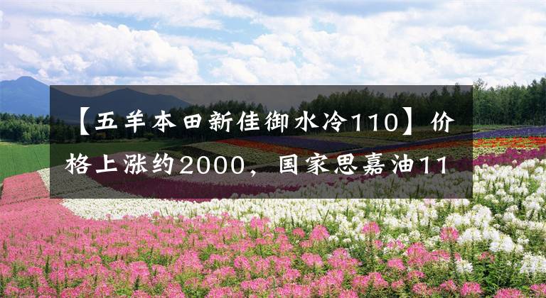 【五羊本田新佳御水冷110】价格上涨约2000，国家思嘉油110的5大“诚意”