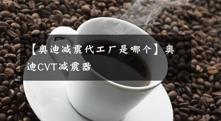 【奥迪减震代工厂是哪个】奥迪CVT减震器