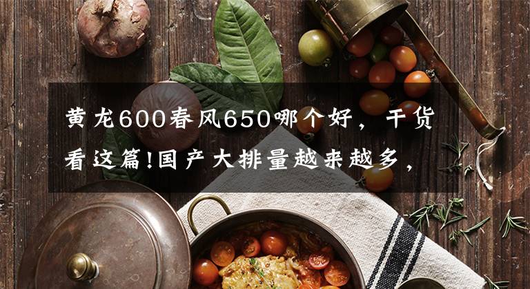 黄龙600春风650哪个好，干货看这篇!国产大排量越来越多，这10款车型中有你喜欢的吗？
