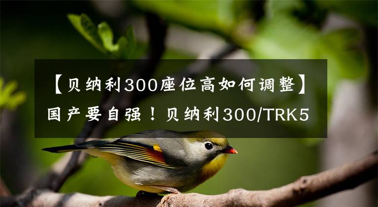 【贝纳利300座位高如何调整】国产要自强！贝纳利300/TRK502远距离体验报告