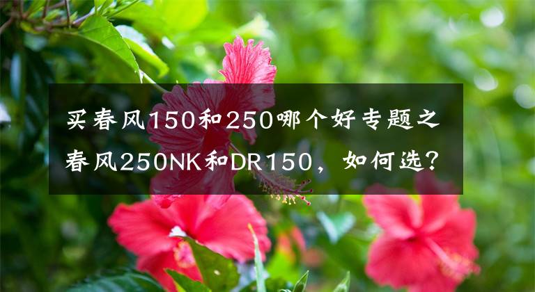 买春风150和250哪个好专题之春风250NK和DR150，如何选？