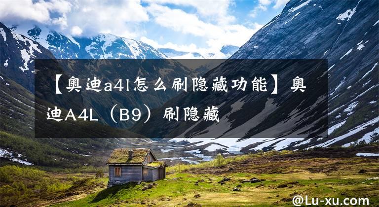 【奥迪a4l怎么刷隐藏功能】奥迪A4L（B9）刷隐藏