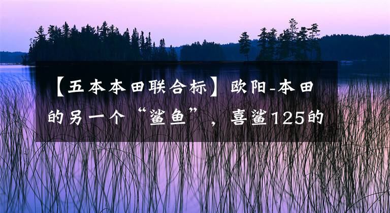 【五本本田联合标】欧阳-本田的另一个“鲨鱼”，喜鲨125的亲民实用图！