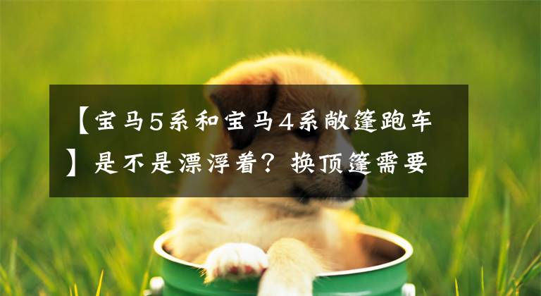 【宝马5系和宝马4系敞篷跑车】是不是漂浮着？换顶篷需要10万韩元吗？宝马4系列敞篷车真实车辆曝光