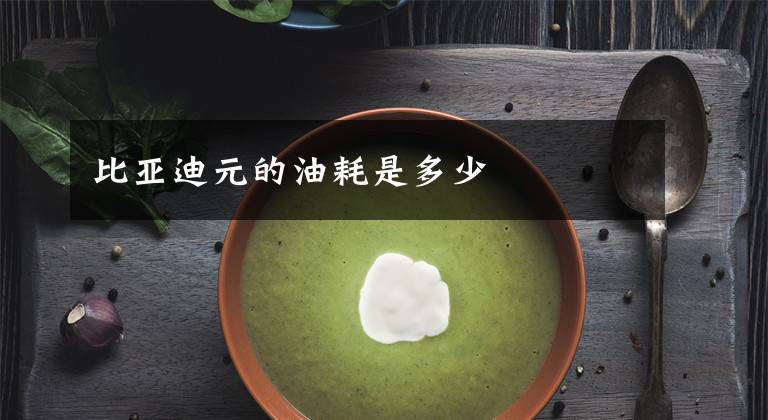 比亚迪元的油耗是多少