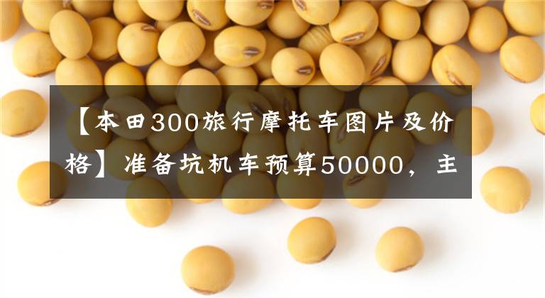 【本田300旅行摩托车图片及价格】准备坑机车预算50000，主要代替偶尔聚行，250-400适合推荐车型
