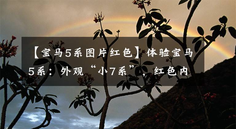 【宝马5系图片红色】体验宝马5系：外观“小7系”，红色内饰高档，折扣优惠畅销。