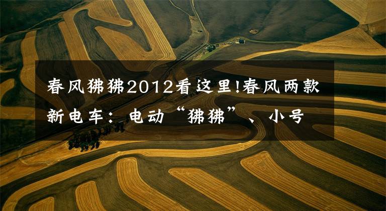 春风狒狒2012看这里!春风两款新电车：电动“狒狒”、小号“AE8”，售价或更低