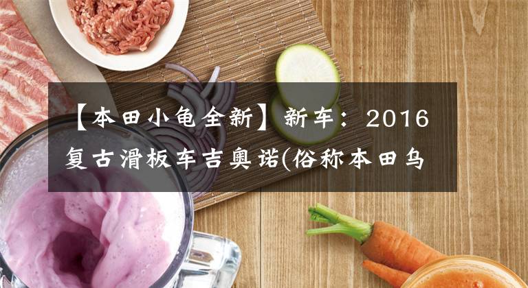 【本田小龟全新】新车：2016复古滑板车吉奥诺(俗称本田乌龟)登场。