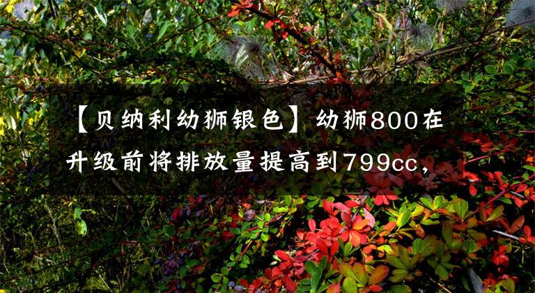 【贝纳利幼狮银色】幼狮800在升级前将排放量提高到799cc，并伴有车身减少
