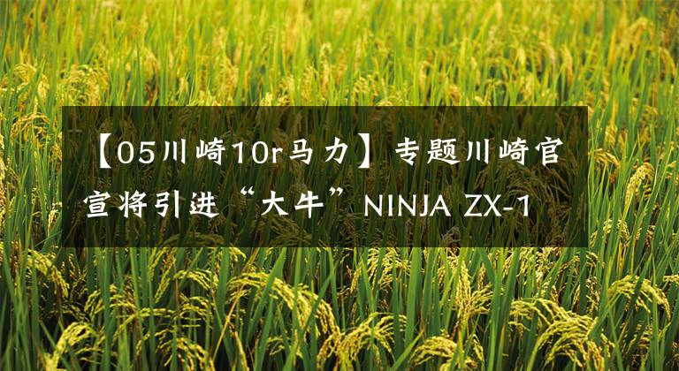 【05川崎10r马力】专题川崎官宣将引进“大牛”NINJA ZX-10R，最高可达213匹马力