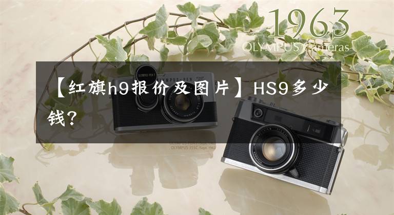 【红旗h9报价及图片】HS9多少钱？