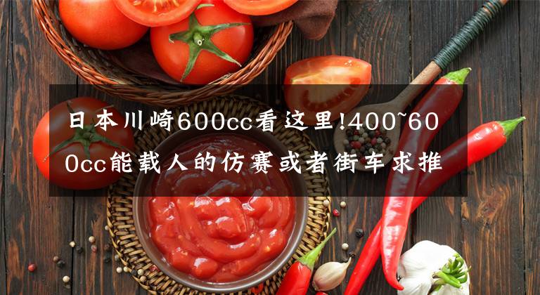 日本川崎600cc看这里!400~600cc能载人的仿赛或者街车求推荐？预算最高能到川崎Z900