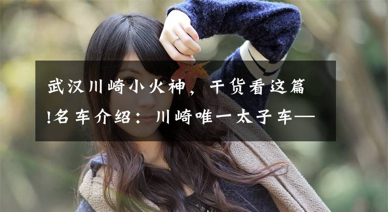 武汉川崎小火神，干货看这篇!名车介绍：川崎唯一太子车——小火神650，巡航运动两不误