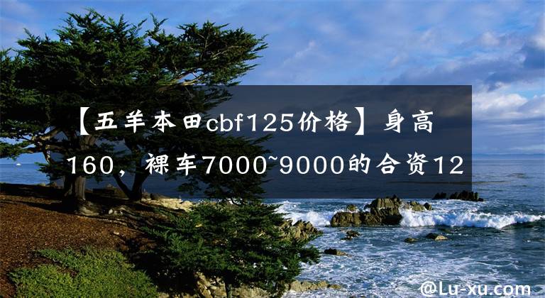 【五羊本田cbf125价格】身高160，裸车7000~9000的合资125，求推荐？