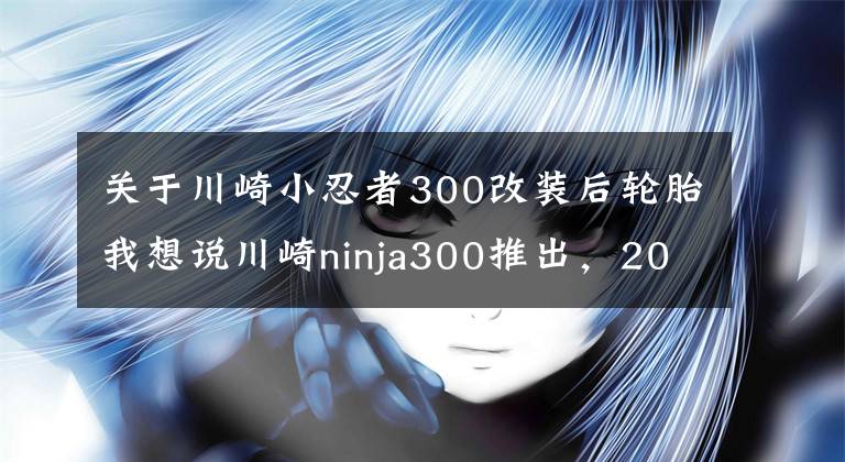 关于川崎小忍者300改装后轮胎我想说川崎ninja300推出，2018款整装印度上市