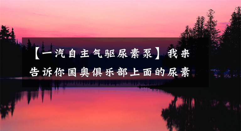 【一汽自主气驱尿素泵】我来告诉你国奥俱乐部上面的尿素泵的情况。其实很简单，但很值钱。