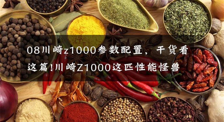 08川崎z1000参数配置，干货看这篇!川崎Z1000这匹性能怪兽新手能驾驭吗？骠哥忠告——别干傻事