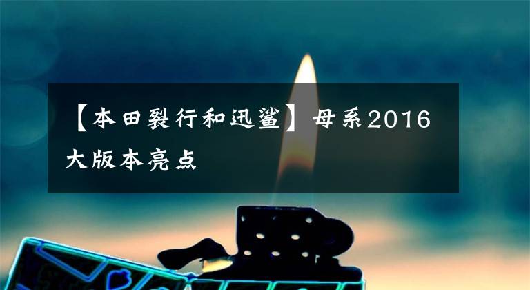 【本田裂行和迅鲨】母系2016大版本亮点