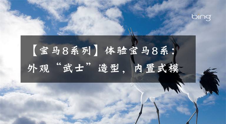 【宝马8系列】体验宝马8系：外观“武士”造型，内置式模糊颜色，3.0T  500N  m