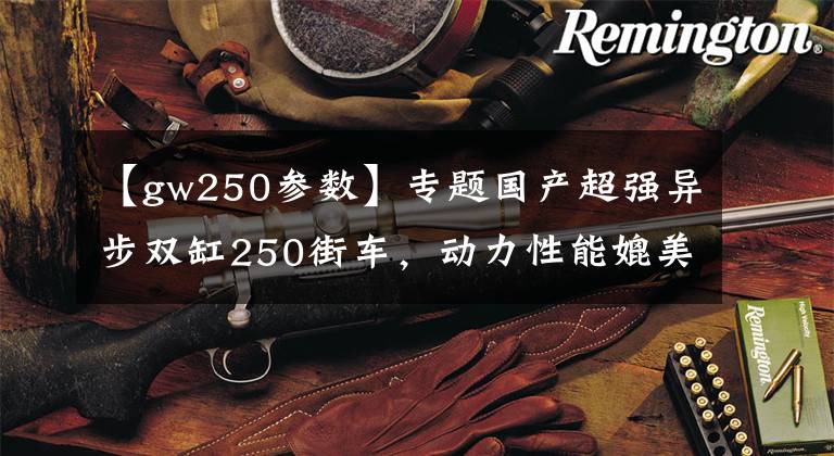 【gw250参数】专题国产超强异步双缸250街车，动力性能媲美合资，却招来一片骂声