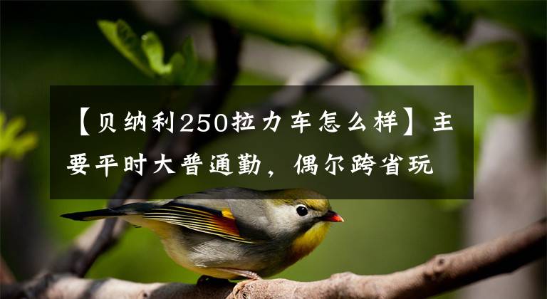 【贝纳利250拉力车怎么样】主要平时大普通勤，偶尔跨省玩，有5个目标车型吗？谁更合适？
