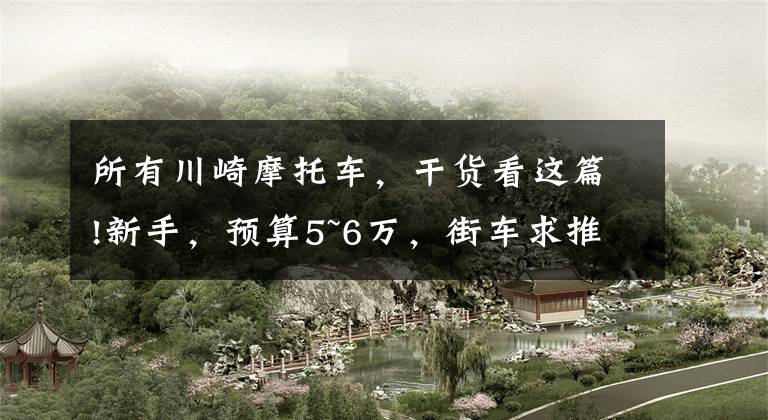 所有川崎摩托车，干货看这篇!新手，预算5~6万，街车求推荐？